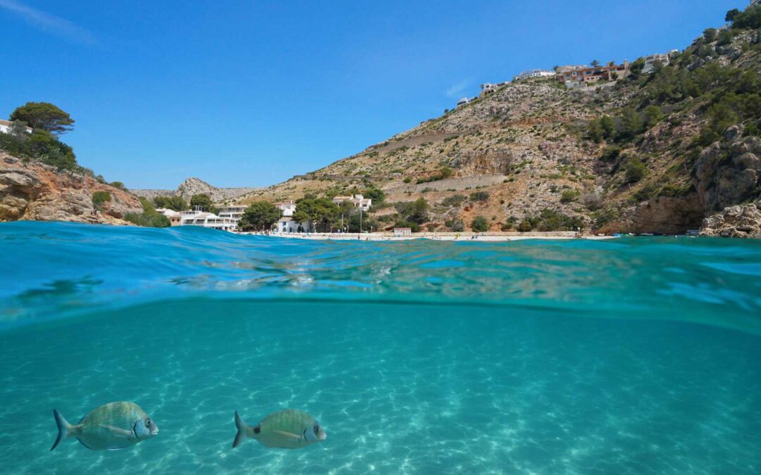 guia de snorkel en javea