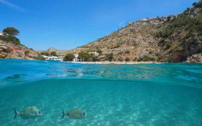 Snorkel en Jávea: los mejores puntos y calas para explorar el fondo marino